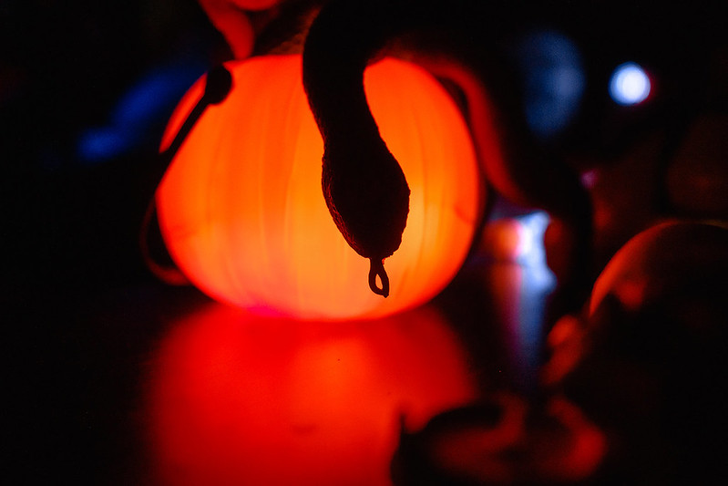 Украшение дома паутиной и летучими мышами к Хэллоуину в Perm